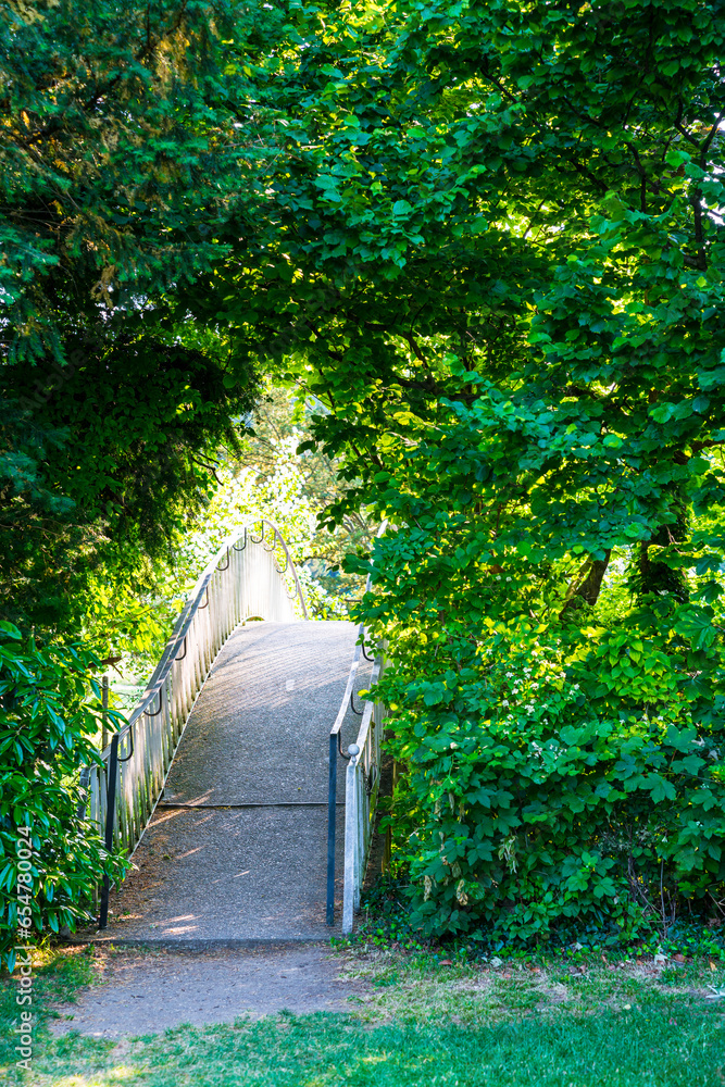 Beautiful bridge in green thicket jungle like branches trees nature garden landscape sunny day