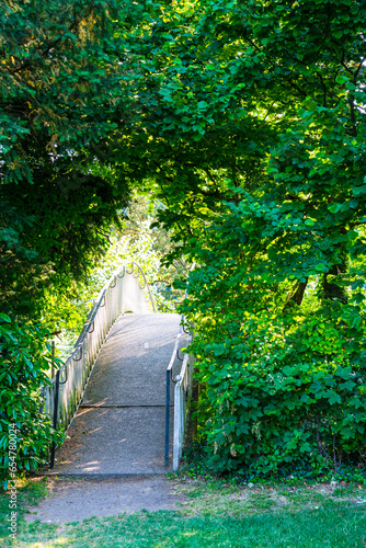Obraz na płótnie Beautiful bridge in green thicket jungle like branches trees nature garden landscape sunny day w salonie