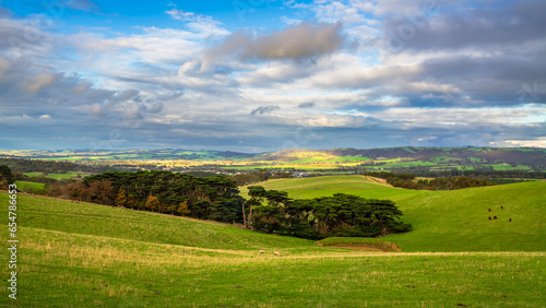 Adelaide Hills green farmlands during winter season at sunset time, South Australia