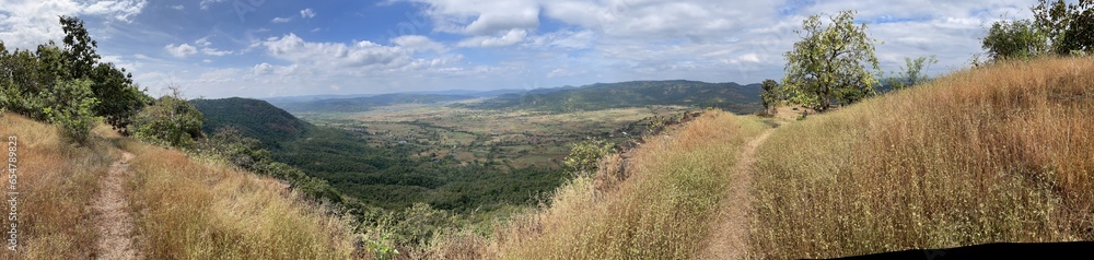 Fototapeta premium grass and sky