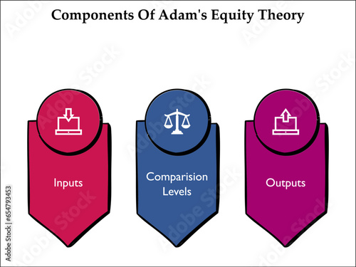 Three components of Adams Equity theory - Inputs, Comparison levels, Outputs. Infographic template with icons