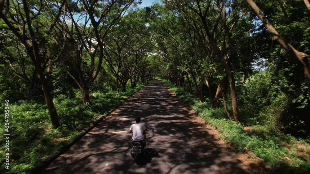 Above drone view a man is riding scooter on tropical island exploring palm tree forest on motorcycle tourists explore holiday destination with motorbike. High quality 4k footage Above drone view a man is riding scooter on tropical island exploring palm tree forest on motorcycle tourists explore holiday destination with motorbike. High quality 4k footage