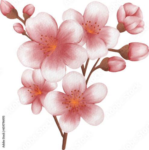 blossom sakura watercolor PNG paper texture