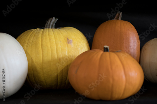 variety of pumpkins in harvest season