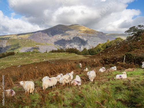 Views around Snowdon with trains running up to the summit photo