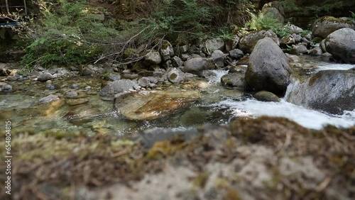 Slider footage over cascades, water rapids in Demianitsa river in a pine forest in the Pirin mountains in Bulgaria, Europe. HQ 4K Apple ProRes video. photo