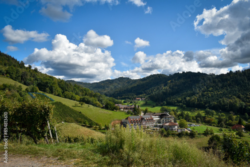 Pueblos de la selva negra - Alemania
