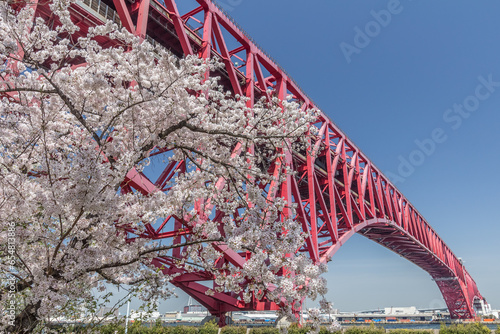 南港側から見た阪神高速の港大橋と桜