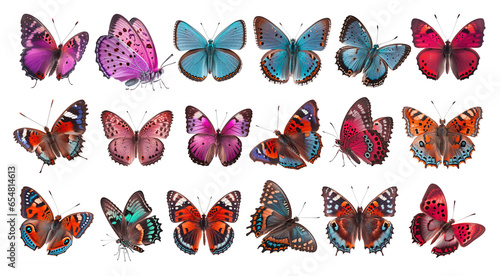 Collection of beautiful butterflies on white background isolated