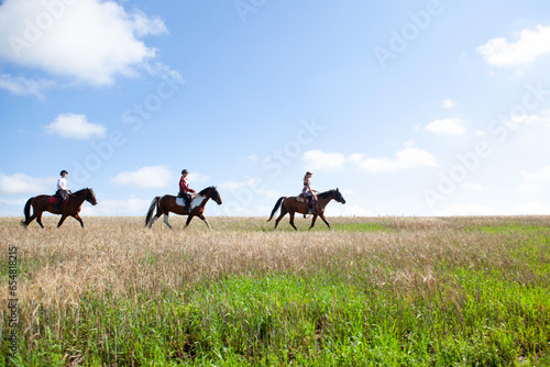 Horseback riding. Horseback riding. Young women equestrians gallop on horses through a field on a summer sunny day. © наталья саксонова