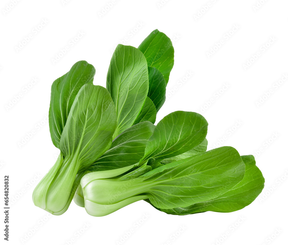 Bok choy vegetable on transparent png Bok choy vegetable on transparent png