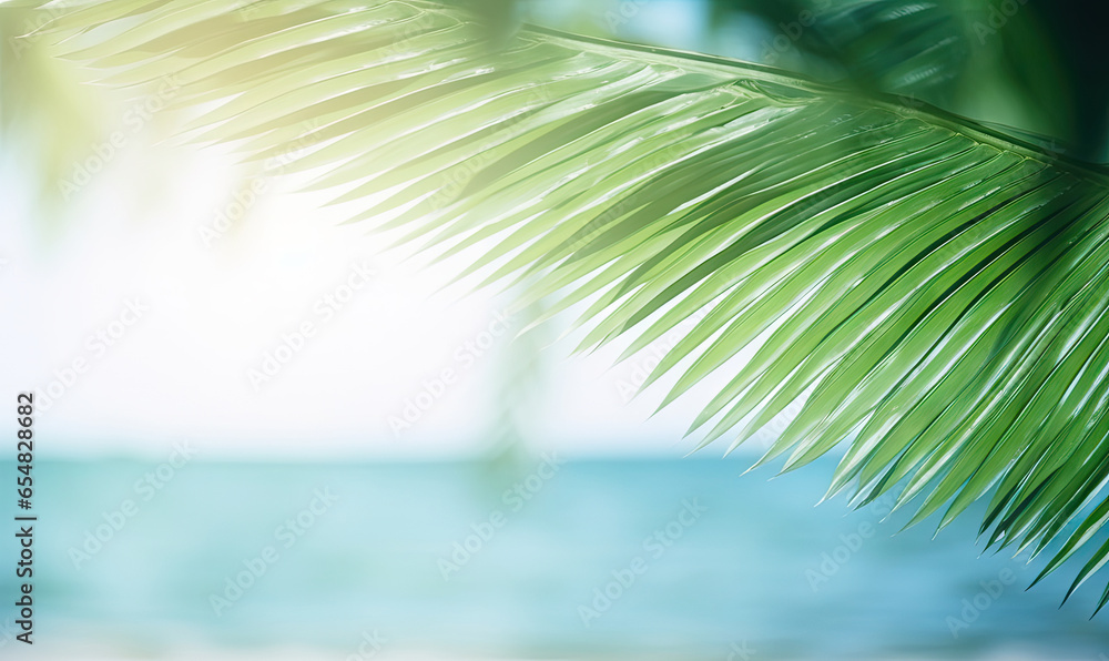 Close-up of palm leaf with blurred tropical beach.