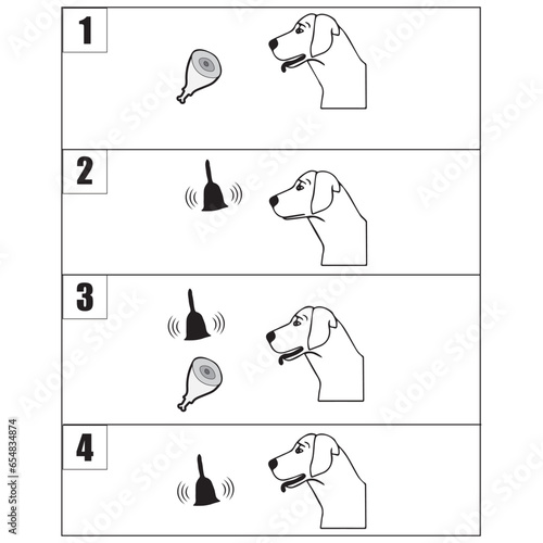 Pavlov's experiment on the dog, conditional mechanisms in educational psychology.