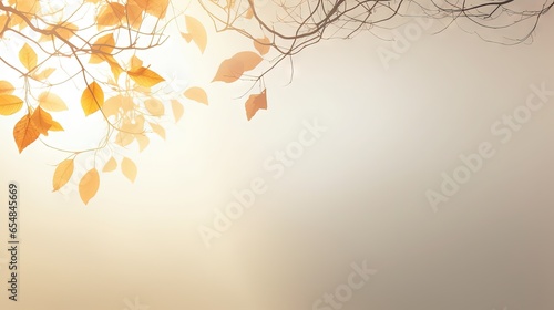 Blurry shadow of leaves on ...