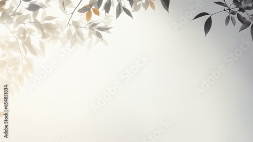 Blurry shadow of leaves on ...