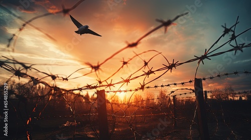 Twilight sky bird boundary ...