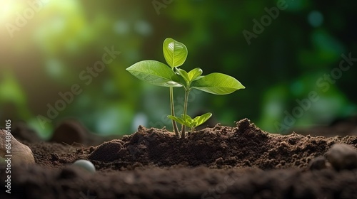 Eco friendly idea Planting trees to reduce global warming on Earth Day