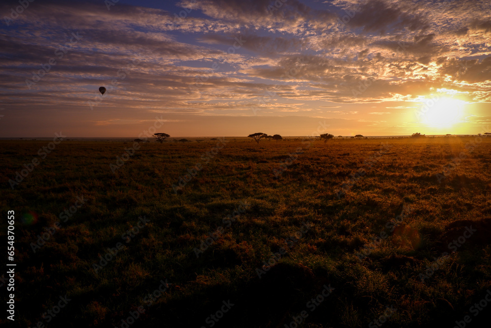 sunset over the fields