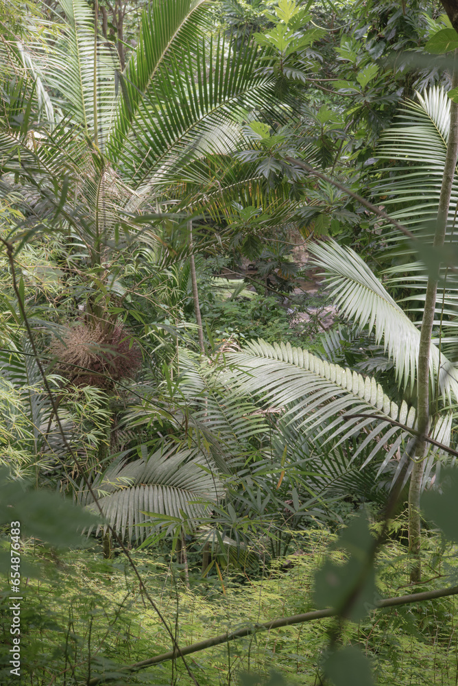 Fototapeta premium Puerto Rico