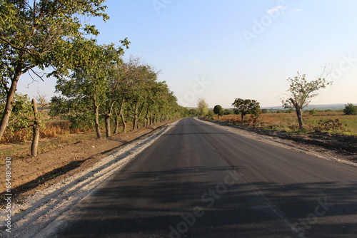 A road with trees on either side
