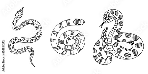 Set of different snakes with hand drawn outline. Vector collection of elapidae, python, rattlesnake. Tropical or Wild West poison viper. Vector wildlife concept. Dangerous serpent in action