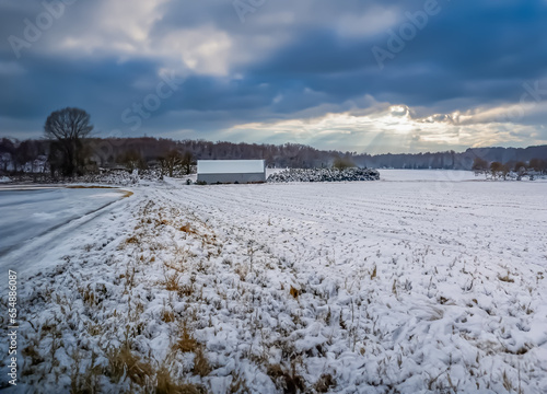 winter landscape with snow