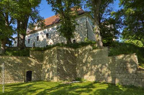 Doudleby Castle in Rychnov nad Kneznou Region, Czech republic, Europe
 photo