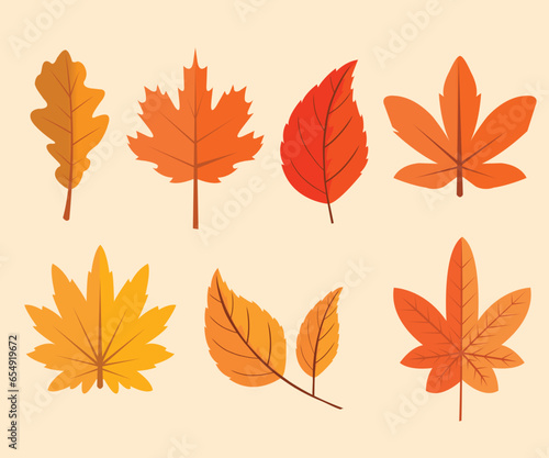 Capturing the Essence of Autumn: Explore Our Gorgeous Fall Leaf Collection