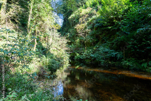 The river Lyd flowing through Lydford Gorge in Devon