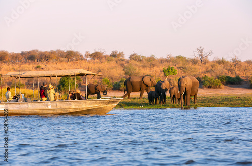 Tourist observe elephants in the edge of Chobe National Park, Botswana, Africa