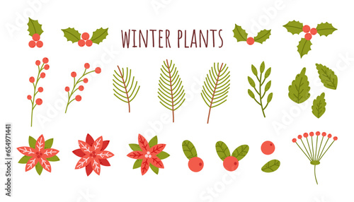 Winter berries, leaves, flowers. Christmas plants set: leaf, pine branches, spruce branch, poinsettia, mistletoe, lingonberries, cranberries. Cartoon flat vector illustration