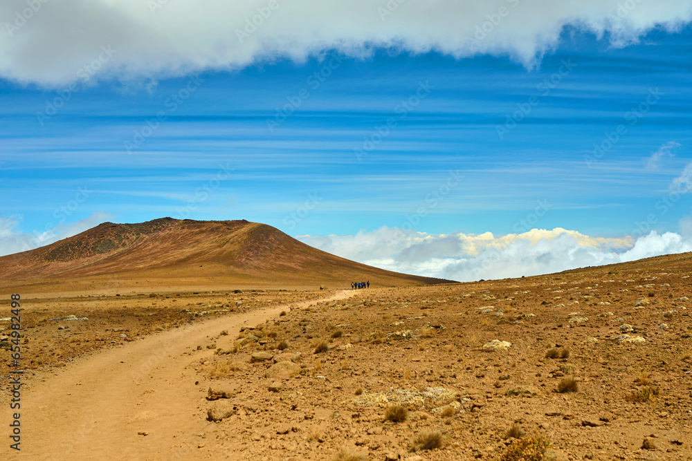 view of the foothills of kilimanjaro