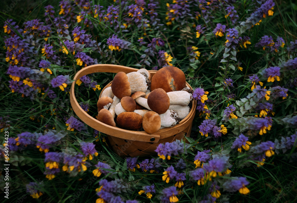Beautiful boletus mushrooms in a basket on flower background. Edible ...