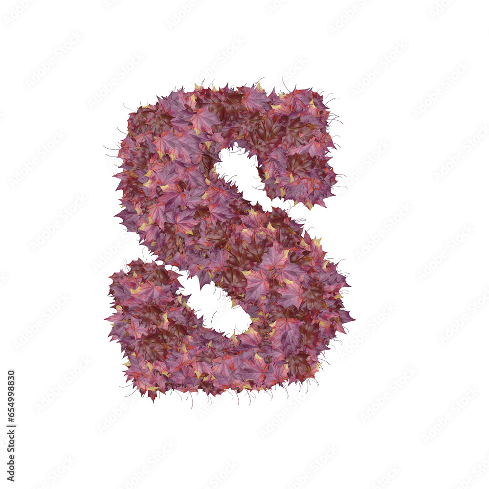 Symbol from autumn red leaves. letter s