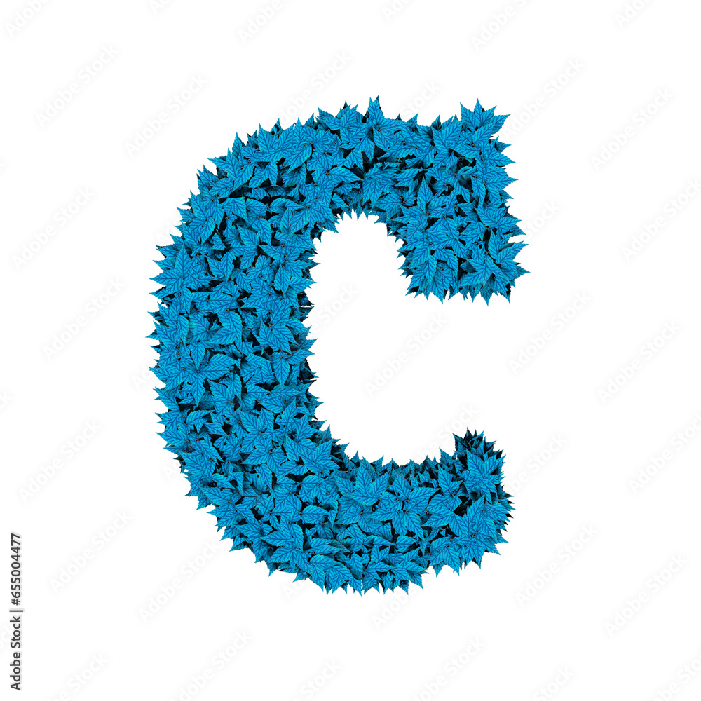Symbol from blue leaves. letter c Symbol from blue leaves. letter c
