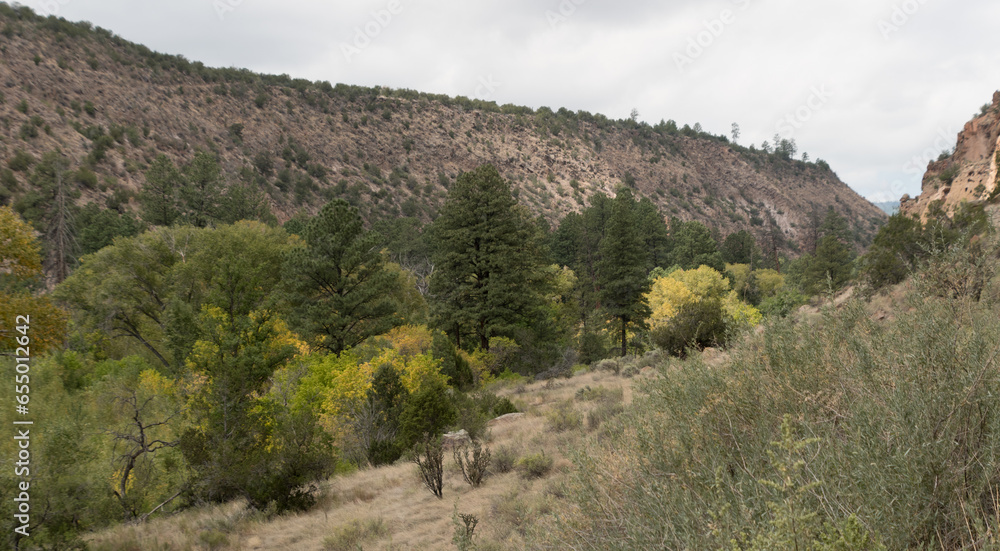 Obraz premium Frijoles canyon in Bandelier Park