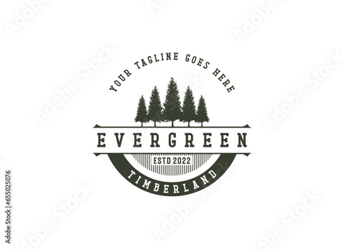 pine evergreen fir hemlock spruce conifer cedar coniferous cypress larch pinus tree forest vintage retro hipster line art Logo design