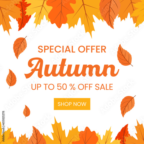 autumn leaves background