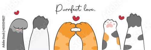 cute cat paws forming a mini heart and various adorable gestures in this endearing pet illustration banner. pet lover minimalistic cartoon doodl