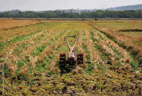 tractor in the middle of dry rice fields 