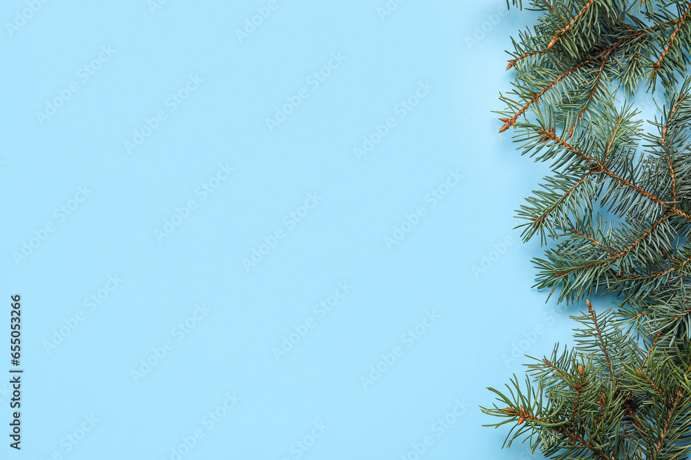 Obraz premium Fir branches on color background