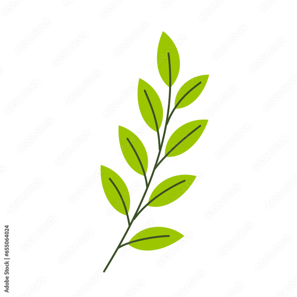 Vector botanical element decorative green branch floral greenery