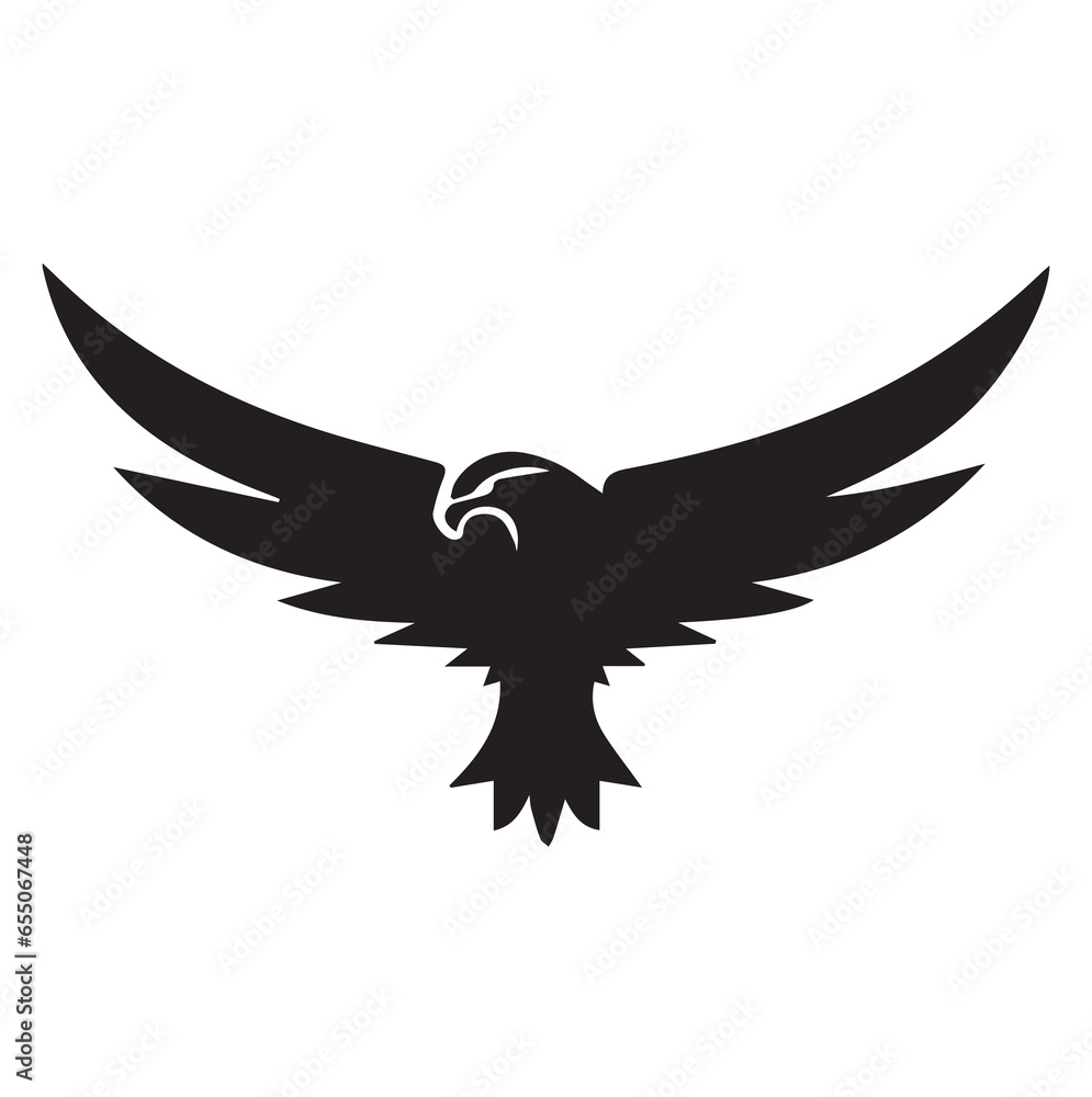 Obraz premium eagle in flight