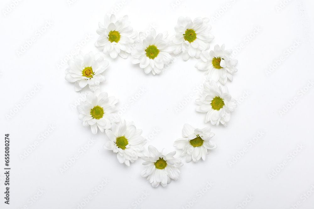 Obraz premium Camomile small group set isolated on white background as package design element.