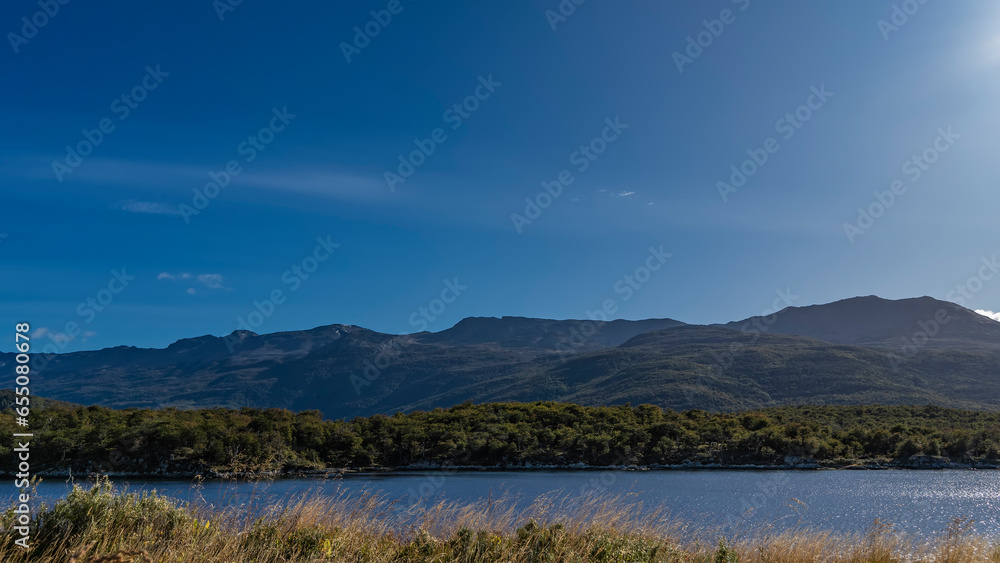A lush green forest grows on the shore of a blue lake. Mountains against the azure sky. Yellowed grass in the foreground. Copy space. Argentina.  Lapataia Bay. Tierra del Fuego National Park.