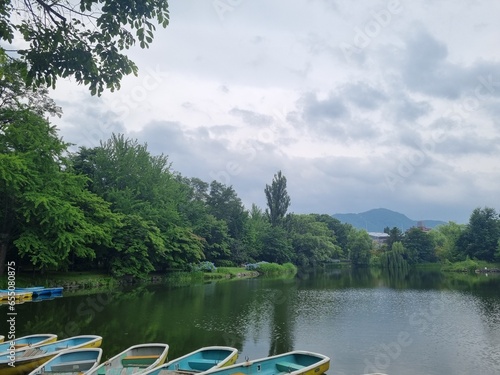 Green forest and clean pond