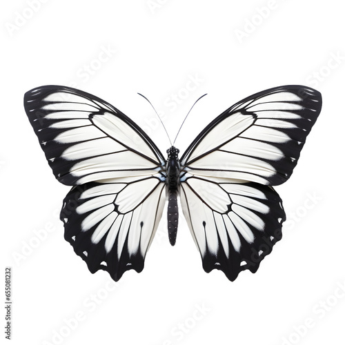 butterfly on white background, Generative Ai