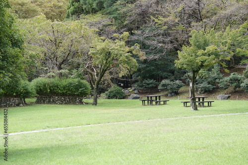 静かな森の公園