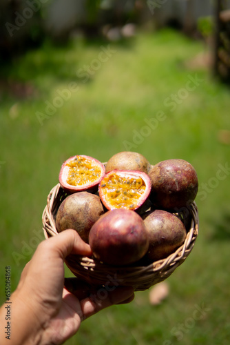 Close up hand holding passion fruit