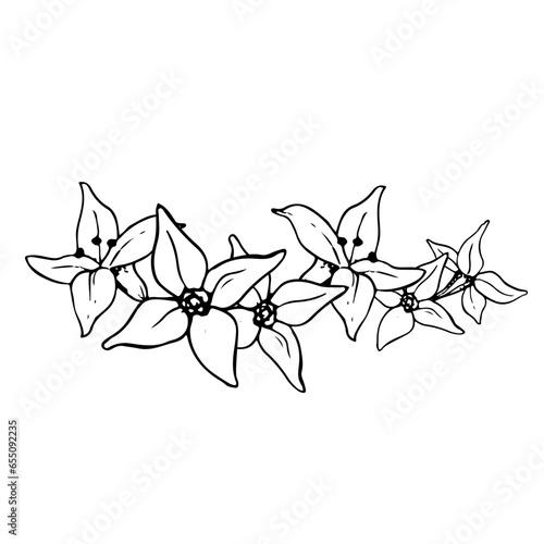Vector graphic flower garland of sea buckthorn floral banner illustration. Black and white graphic plant drawing in simple minimalist style